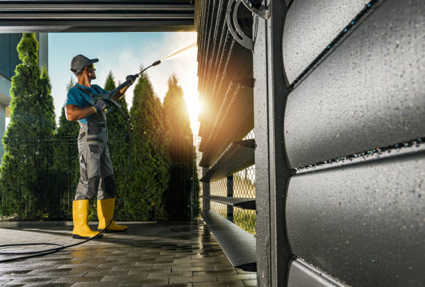 Best Gutter Cleaning  in Townsend, DE